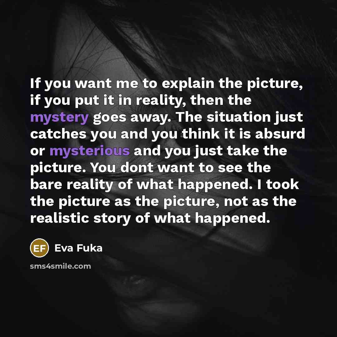 “If you want me to explain the picture, if you…” quote by Eva Fuka