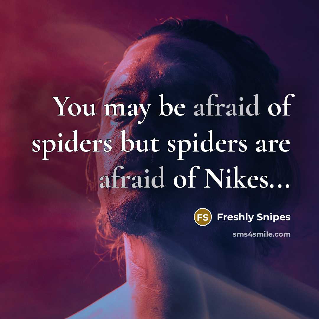 “You may be afraid of spiders but spiders are afraid…” quote by Freshly Snipes