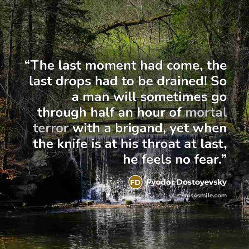 “The last moment had come, the last drops had to be drained! So a man will sometimes go through half an hour of mortal terror with a brigand, yet when the knife is at his throat at last, he feels no fear.” quote by Fyodor Dostoyevsky