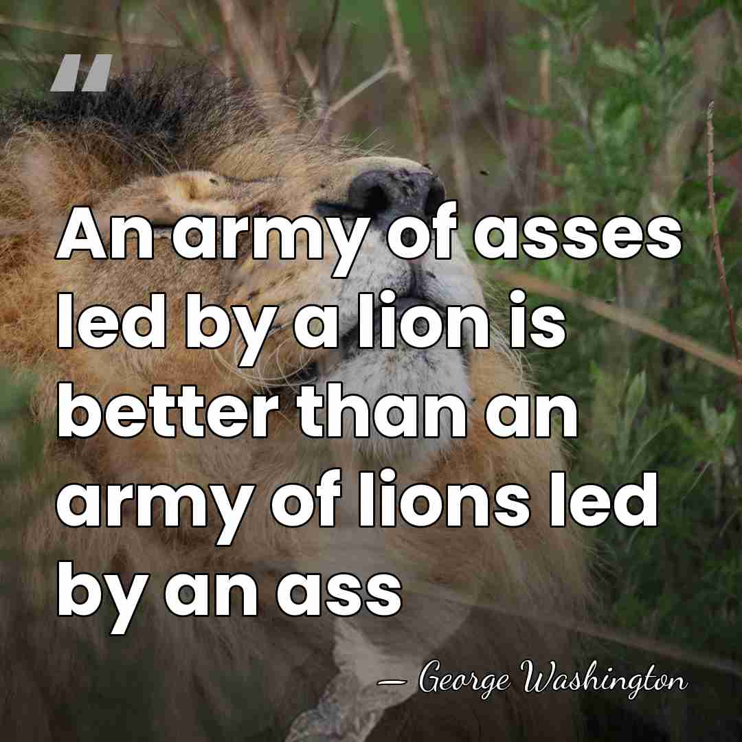 An army of asses led by a lion is better than an&hellip; - George Washington