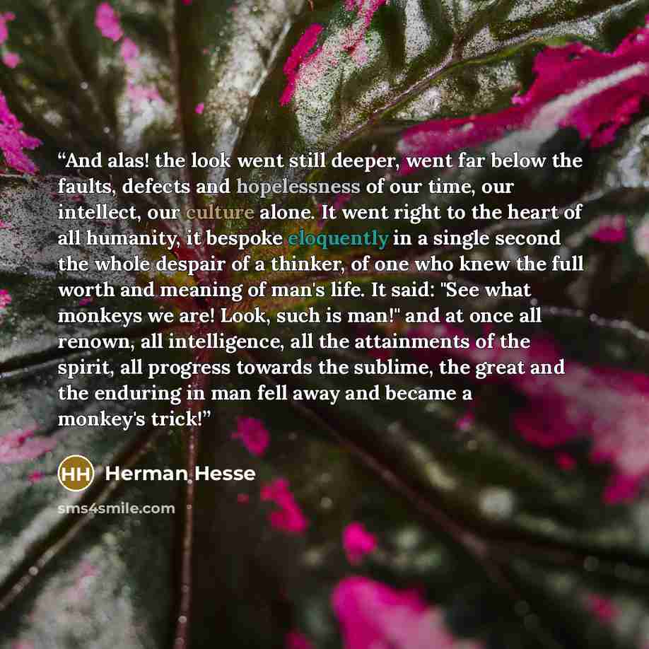 “And alas! the look went still deeper, went far below the faults, defects and hopelessness of our time, our intellect, our culture alone. It went right to the heart of all humanity, it bespoke eloquently in a single second the whole despair of a thinker, of one who knew the full worth and meaning…” quote by Herman Hesse