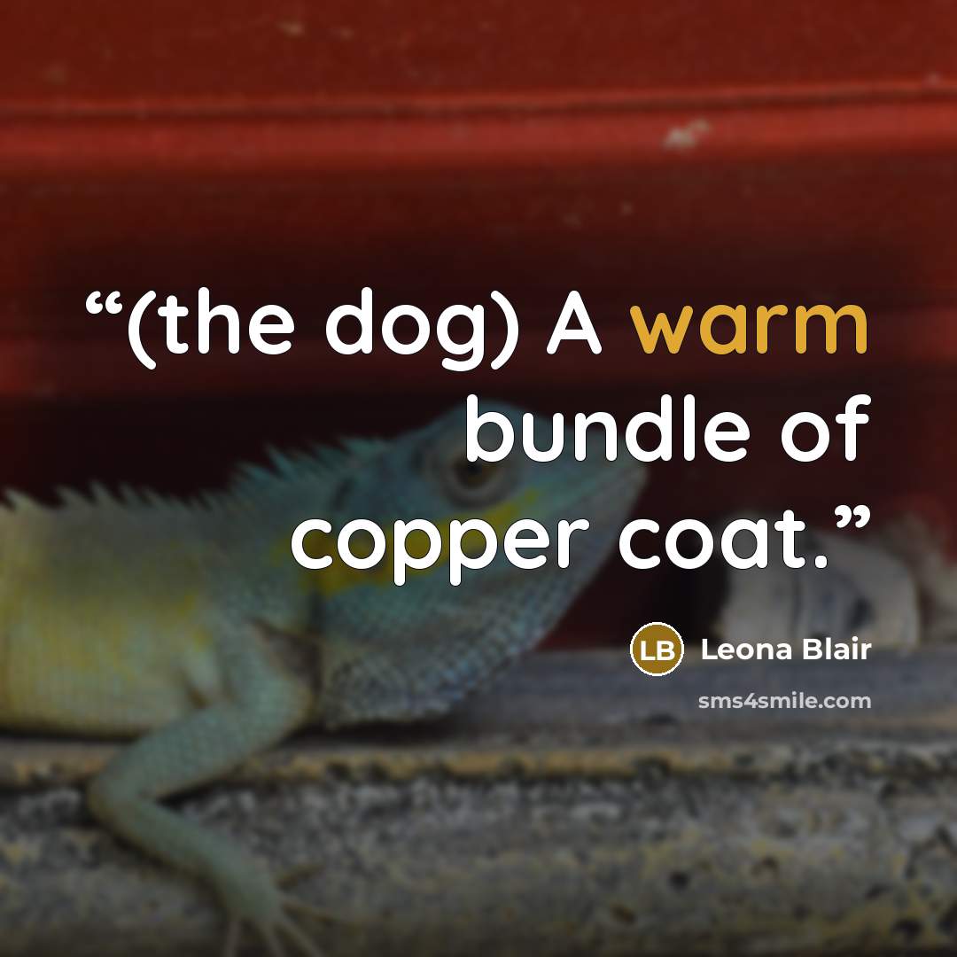 “(the dog) A warm bundle of copper coat.” quote by Leona Blair