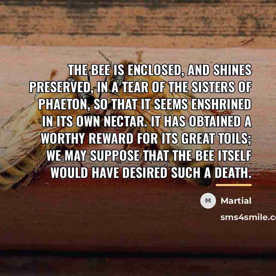“The bee is enclosed, and shines preserved, in a tear…” quote by Martial
