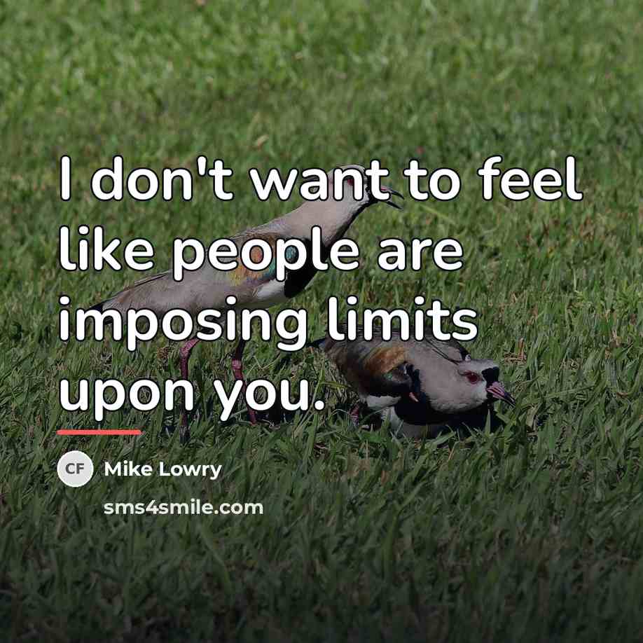 “I don't want to feel like people are imposing limits…” quote by Mike Lowry