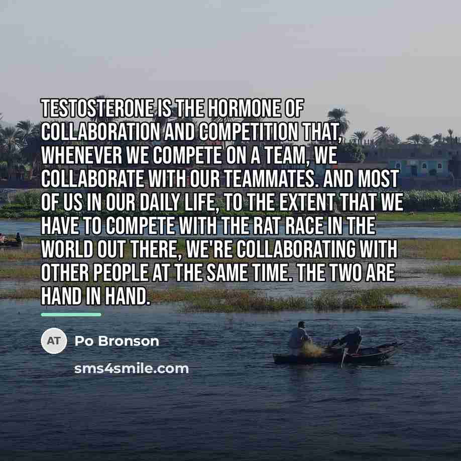 “Testosterone is the hormone of collaboration and competition that, whenever…” quote by Po Bronson