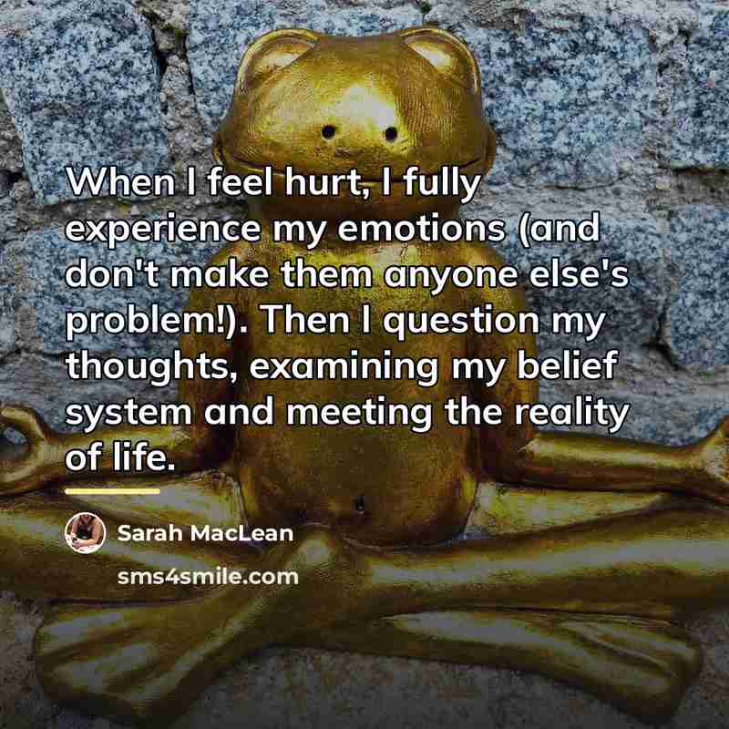 “When I feel hurt, I fully experience my emotions (and…” quote by Sarah MacLean