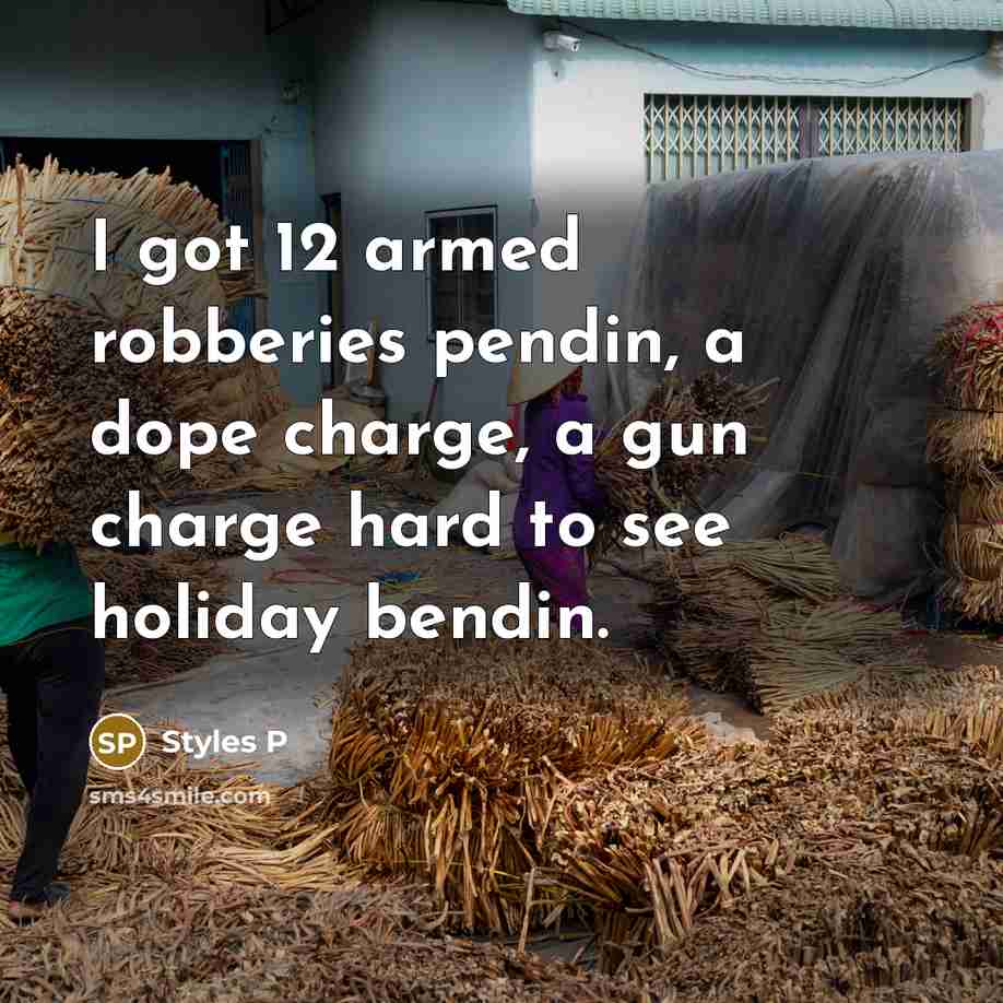 “I got 12 armed robberies pendin, a dope charge, a…” quote by Styles P