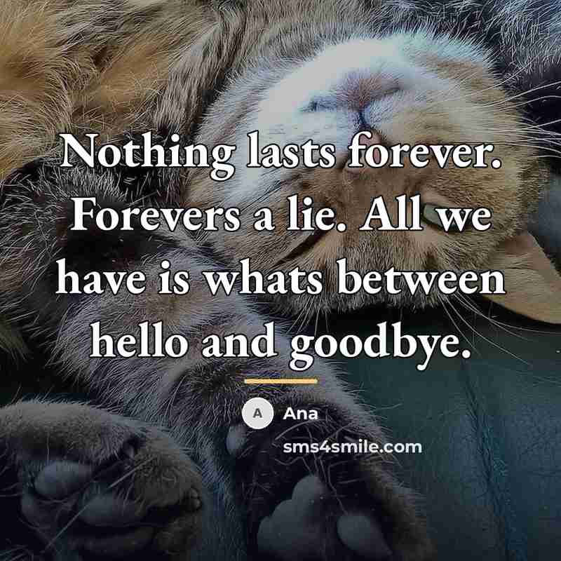“Nothing lasts forever. Forevers a lie. All we have is…” quote by Ana