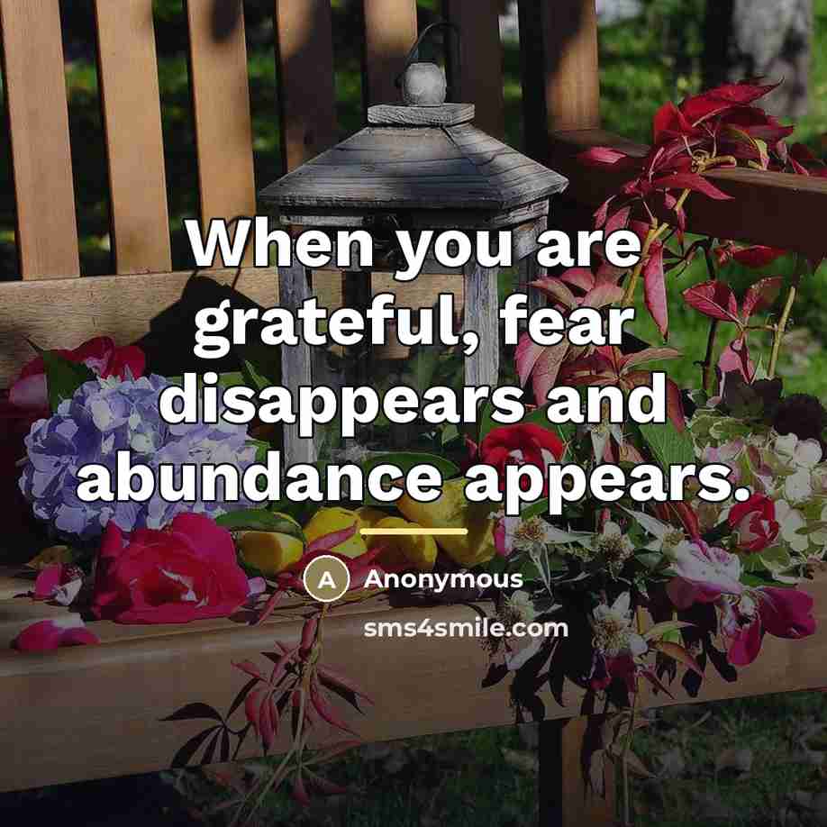 “When you are grateful, fear disappears and abundance appears.…” quote by Anonymous