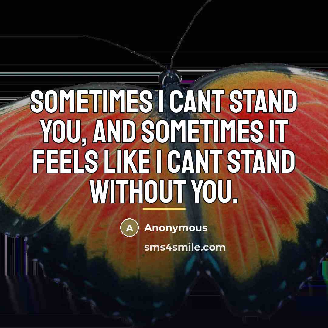 “Sometimes I cant stand you, and sometimes it feels like…” quote by Anonymous