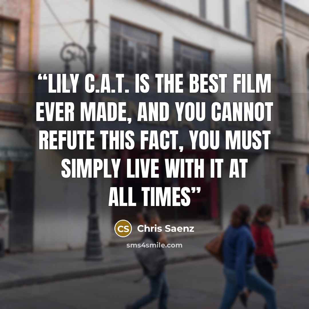 “lily c.a.t. is the best film ever made, and you cannot refute this fact, you must simply live with it at all times” quote by Chris Saenz