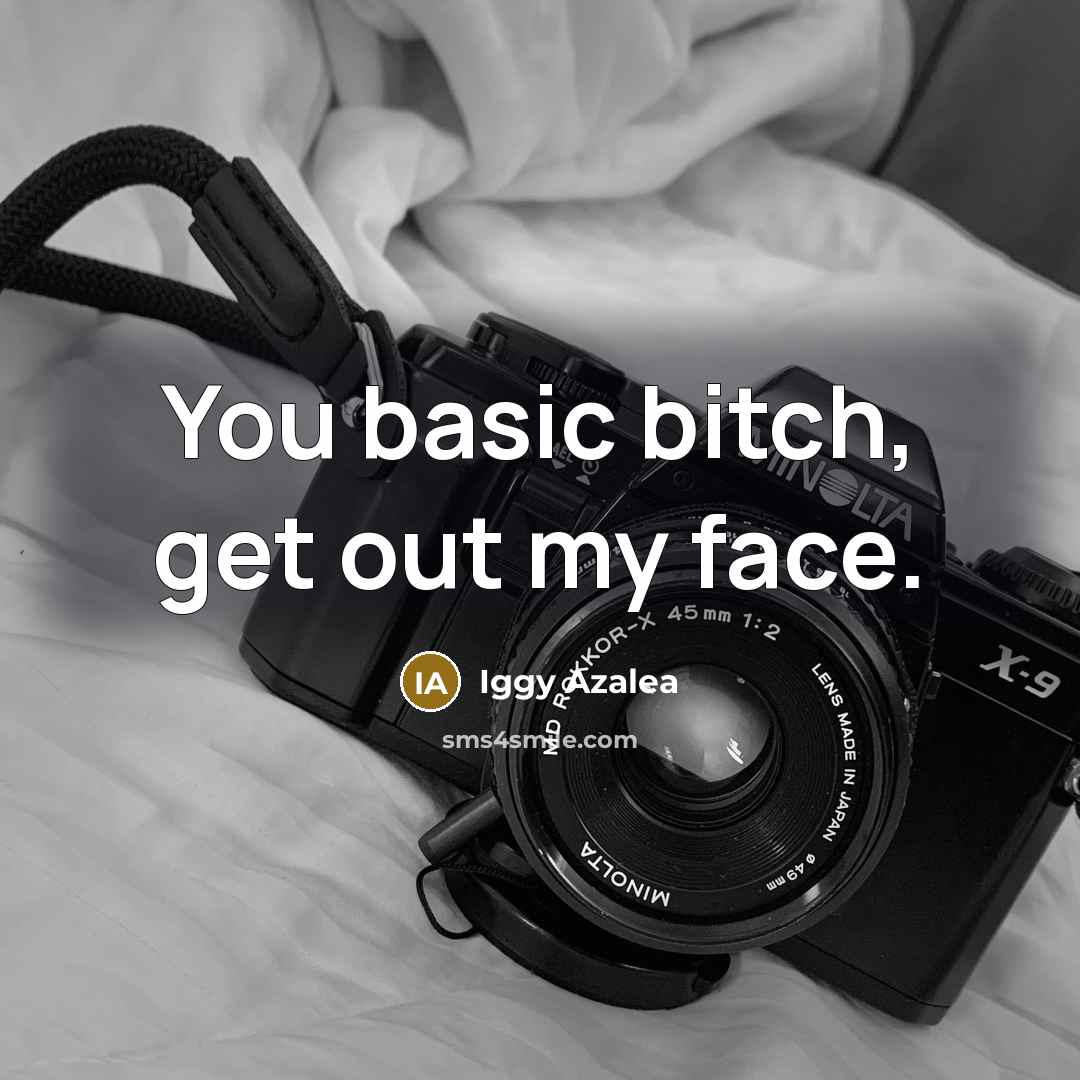 “You basic bitch, get out my face.” quote by Iggy Azalea