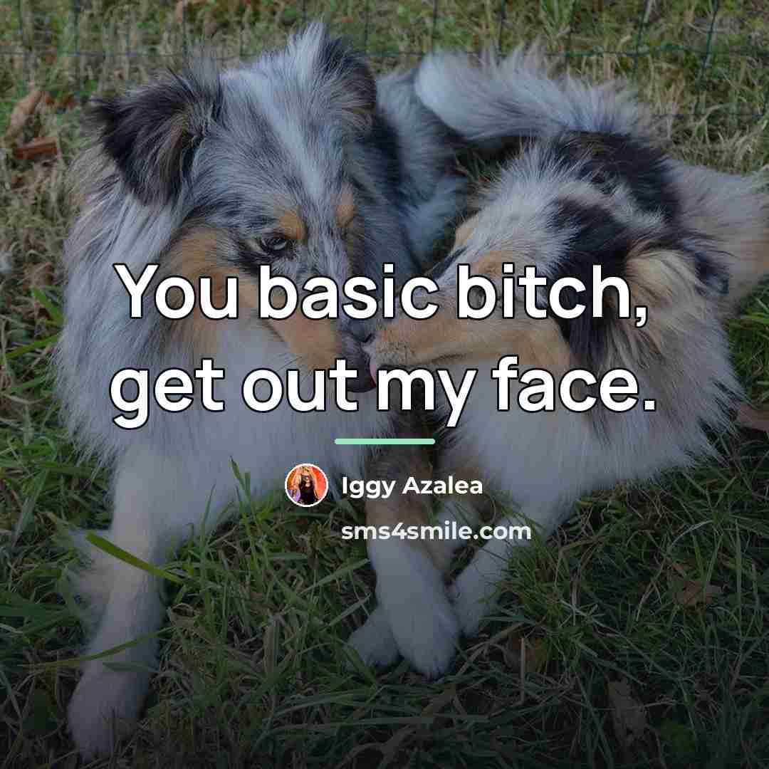 “You basic bitch, get out my face.…” quote by Iggy Azalea