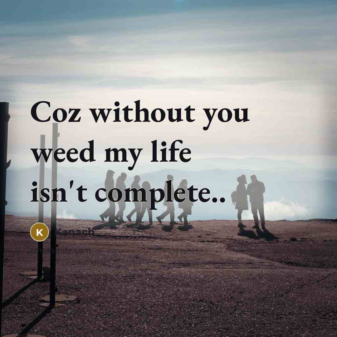 “Coz without you weed my life isn't complete..” quote by Kanach