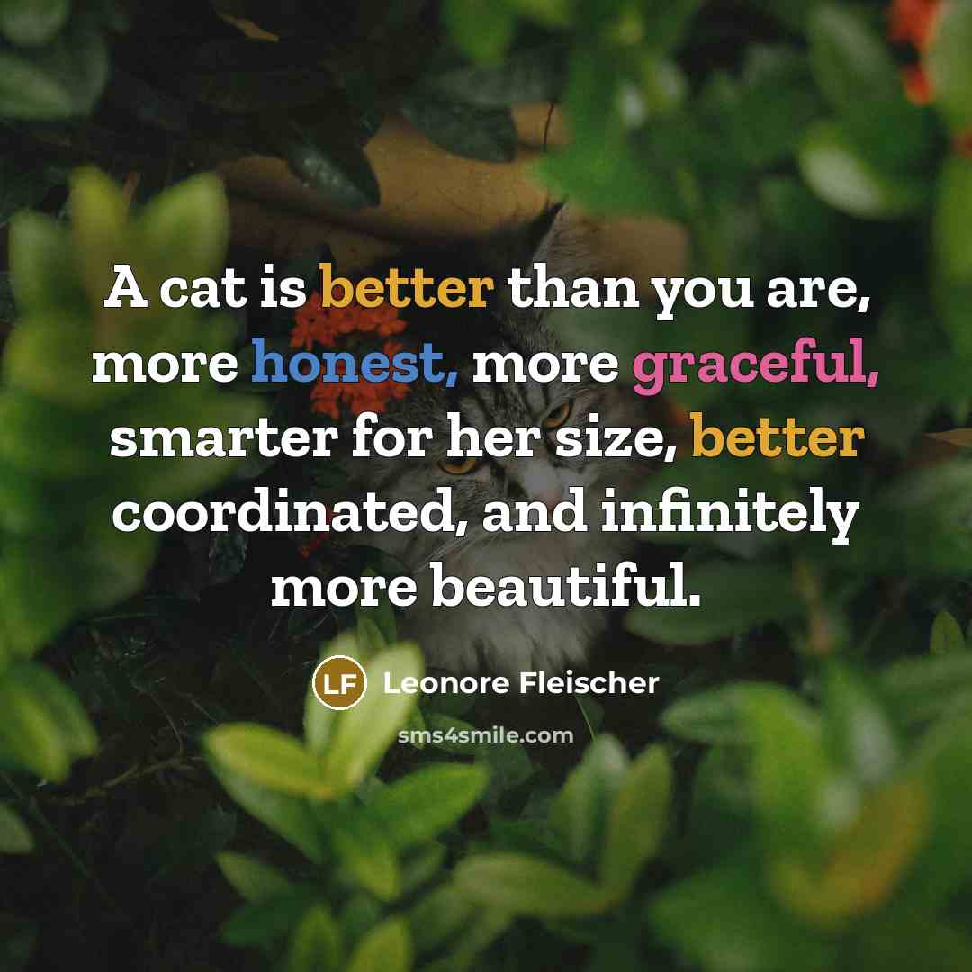 “A cat is better than you are, more honest, more…” quote by Leonore Fleischer