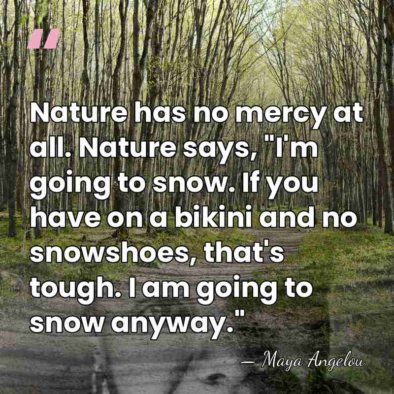 Nature has no mercy at all. Nature says, "I'm going to snow.&hellip; - Maya Angelou