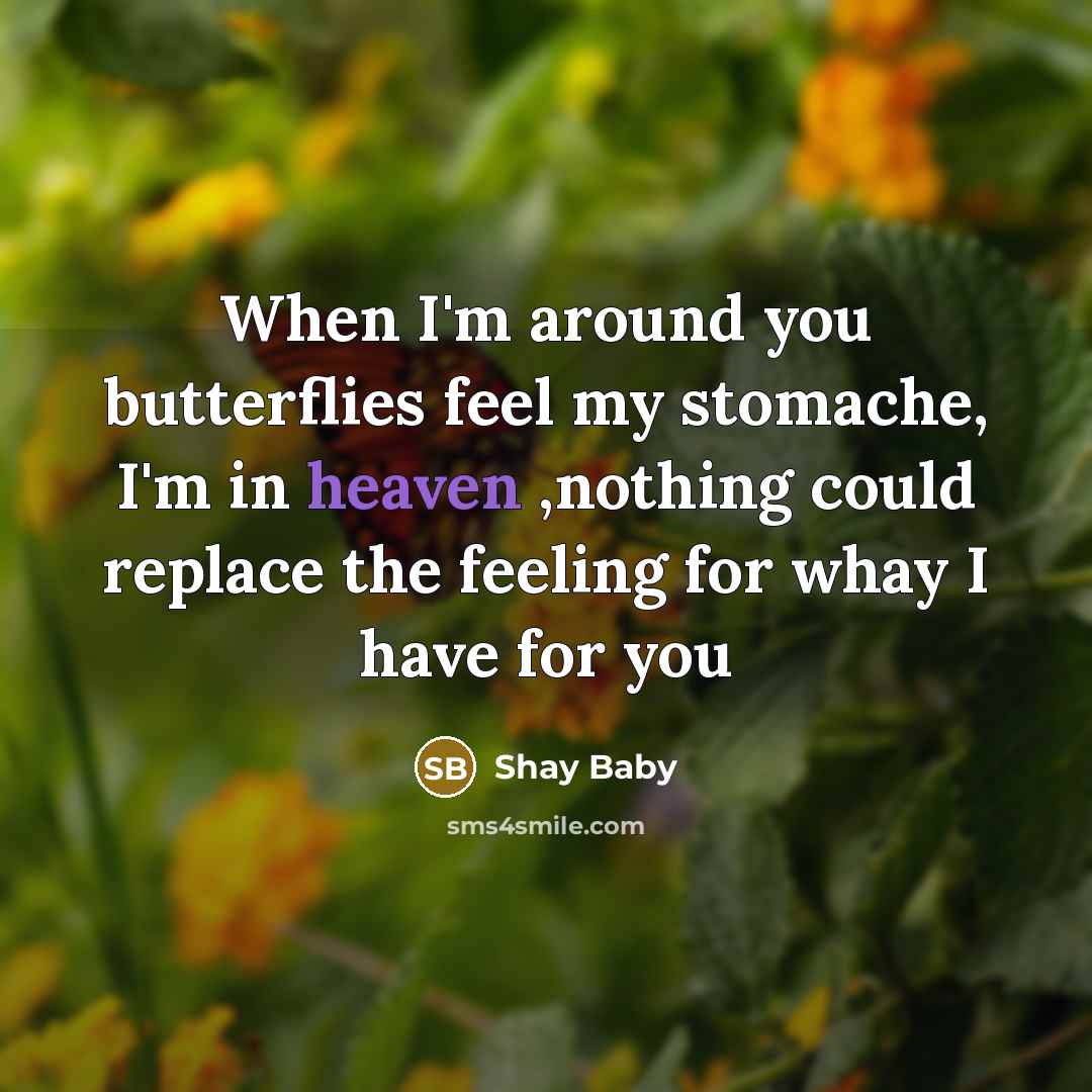 “When I'm around you butterflies feel my stomache, I'm in heaven ,nothing could replace the feeling for whay I have for you” quote by Shay Baby
