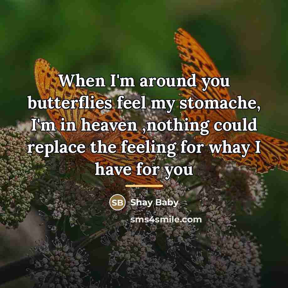 “When I'm around you butterflies feel my stomache, I'm in…” quote by Shay Baby