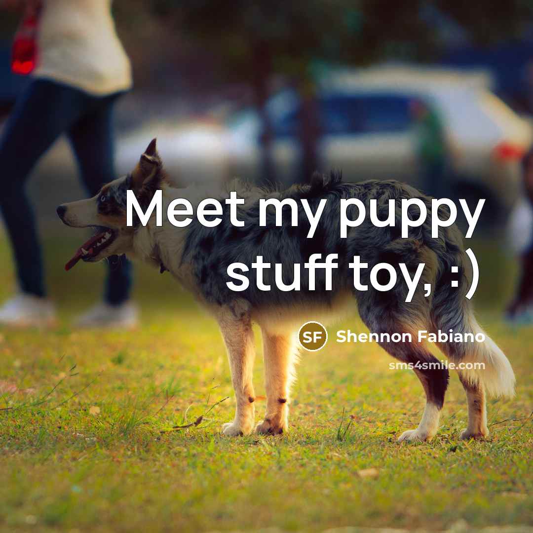 “Meet my puppy stuff toy, :)…” quote by Shennon Fabiano
