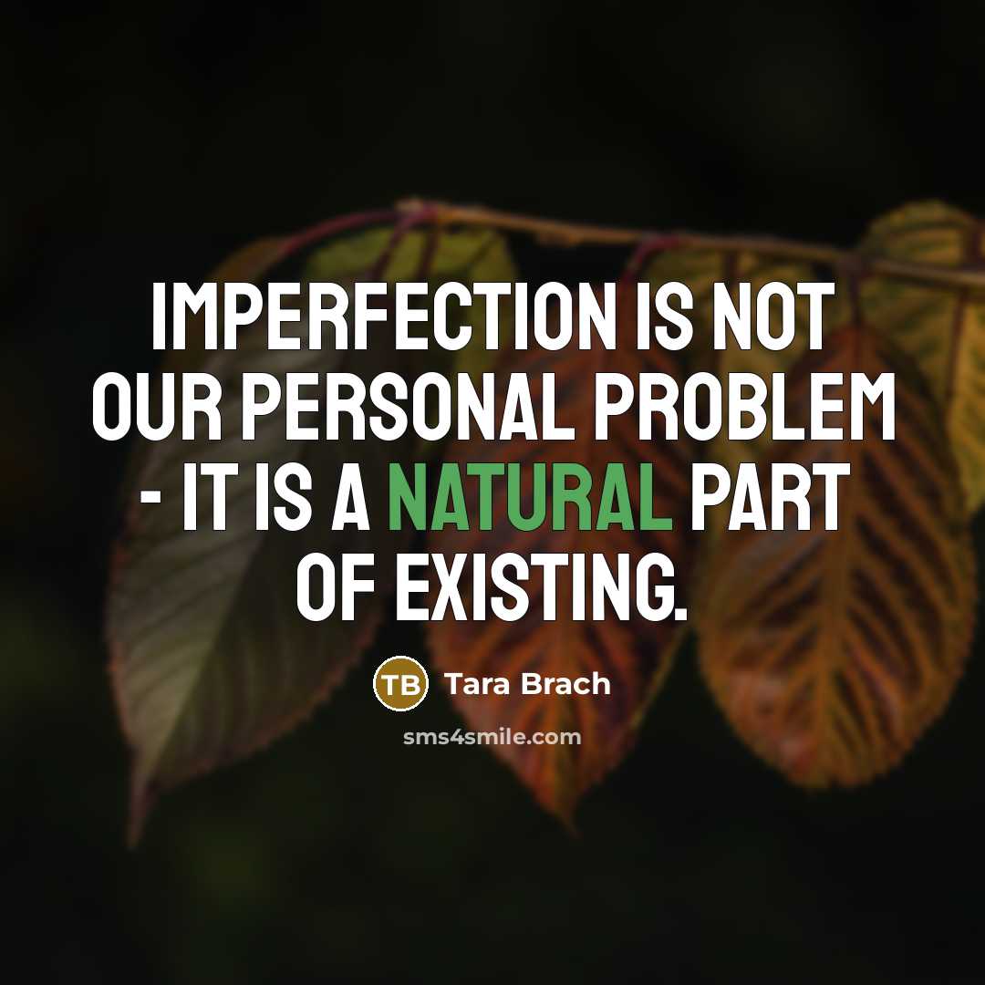 “Imperfection is not our personal problem - it is a…” quote by Tara Brach