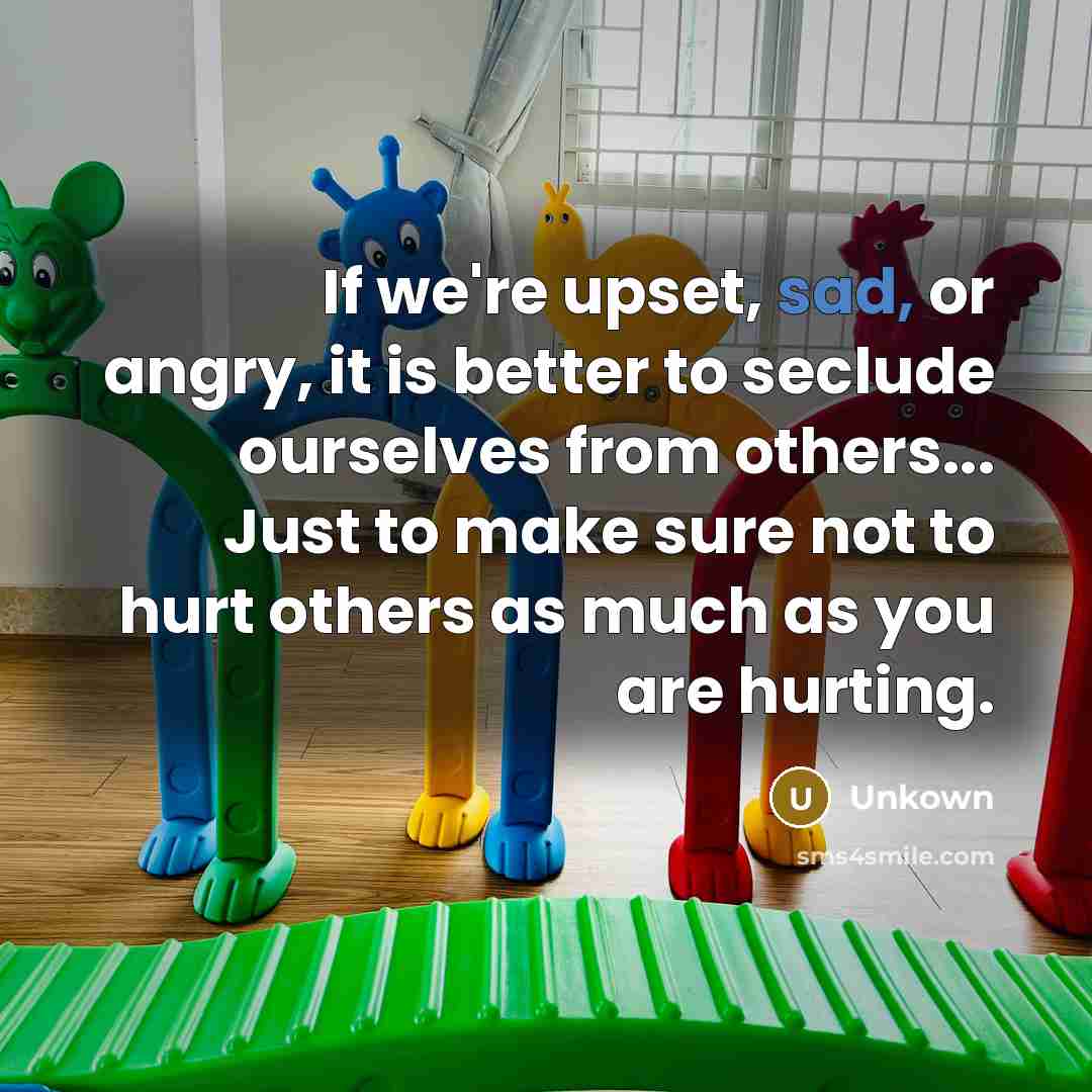 “If we're upset, sad, or angry, it is better to seclude ourselves from others... Just to make sure not to hurt others as much as you are hurting.” quote by Unkown