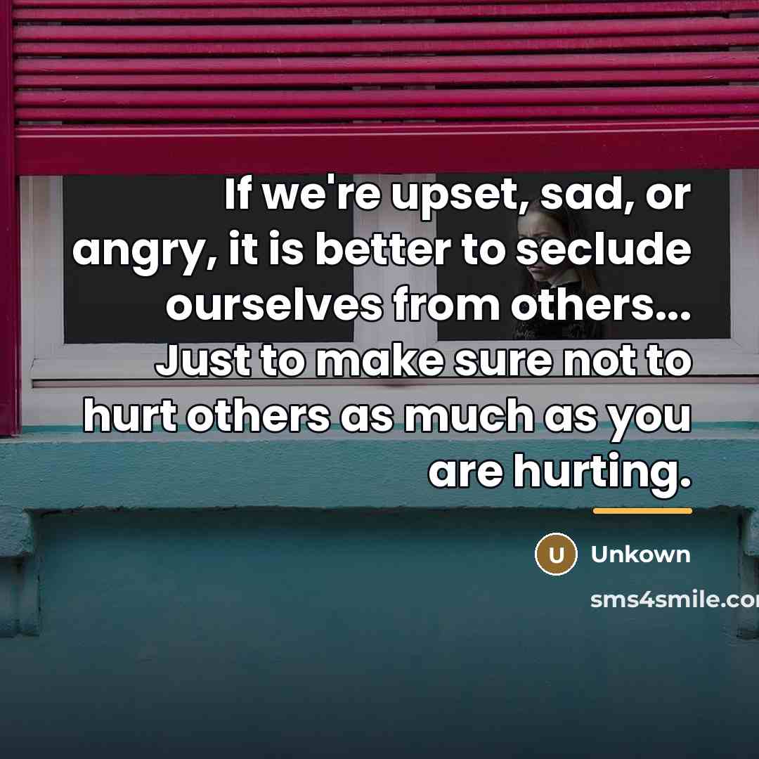 “If we're upset, sad, or angry, it is better to…” quote by Unkown