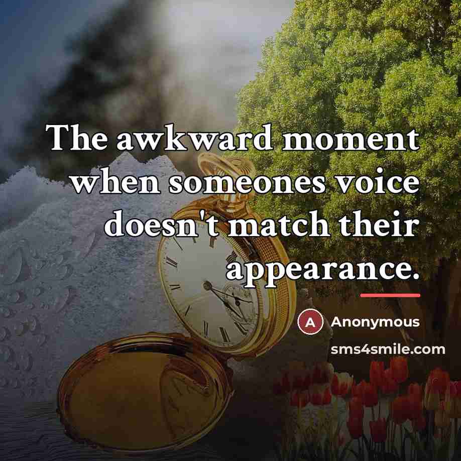 “The awkward moment when someones voice doesn't match their appearance.…” quote by Anonymous