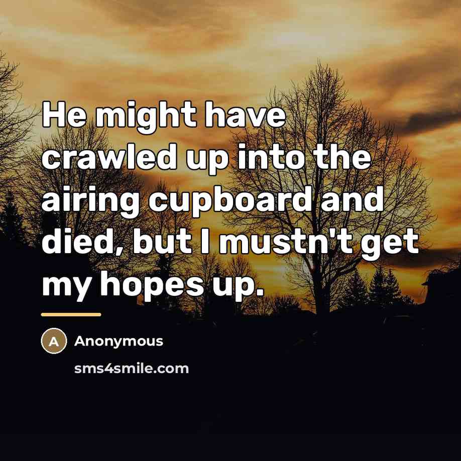 “He might have crawled up into the airing cupboard and…” quote by Anonymous