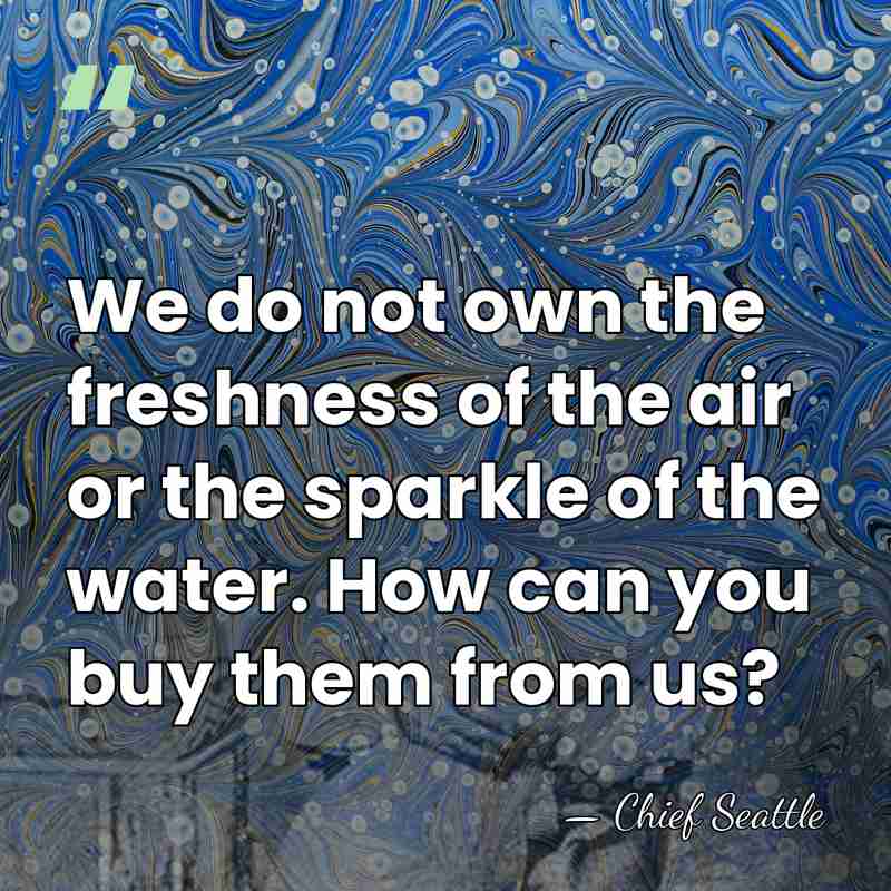 We do not own the freshness of the air or the sparkle&hellip; - Chief Seattle