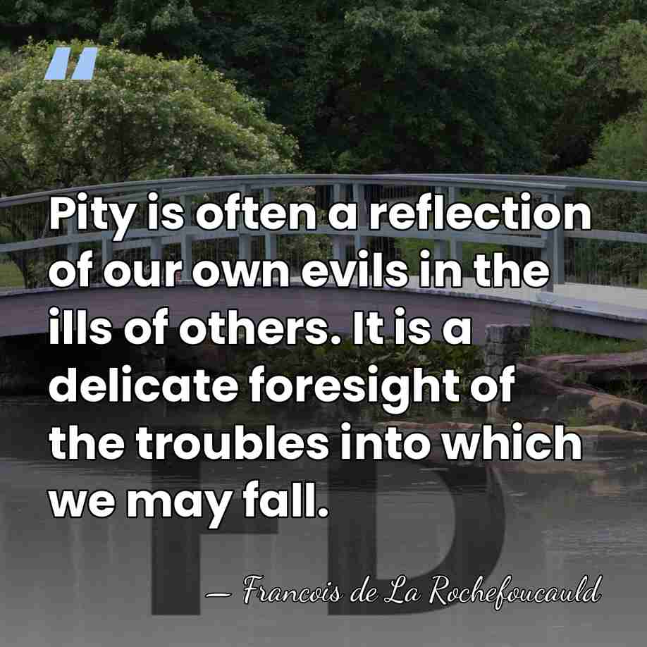 Pity is often a reflection of our own evils in the ills&hellip; - Francois de La Rochefoucauld