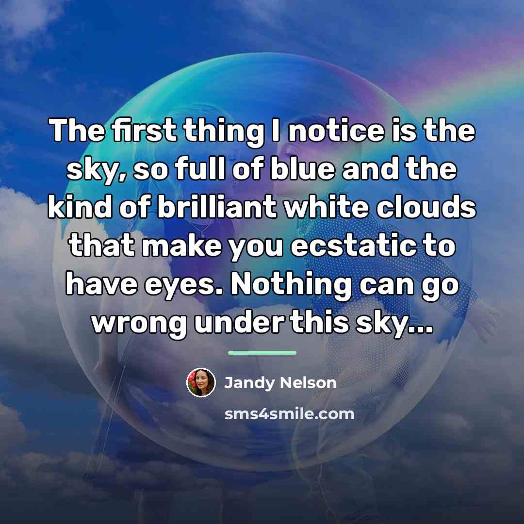 “The first thing I notice is the sky, so full…” quote by Jandy Nelson
