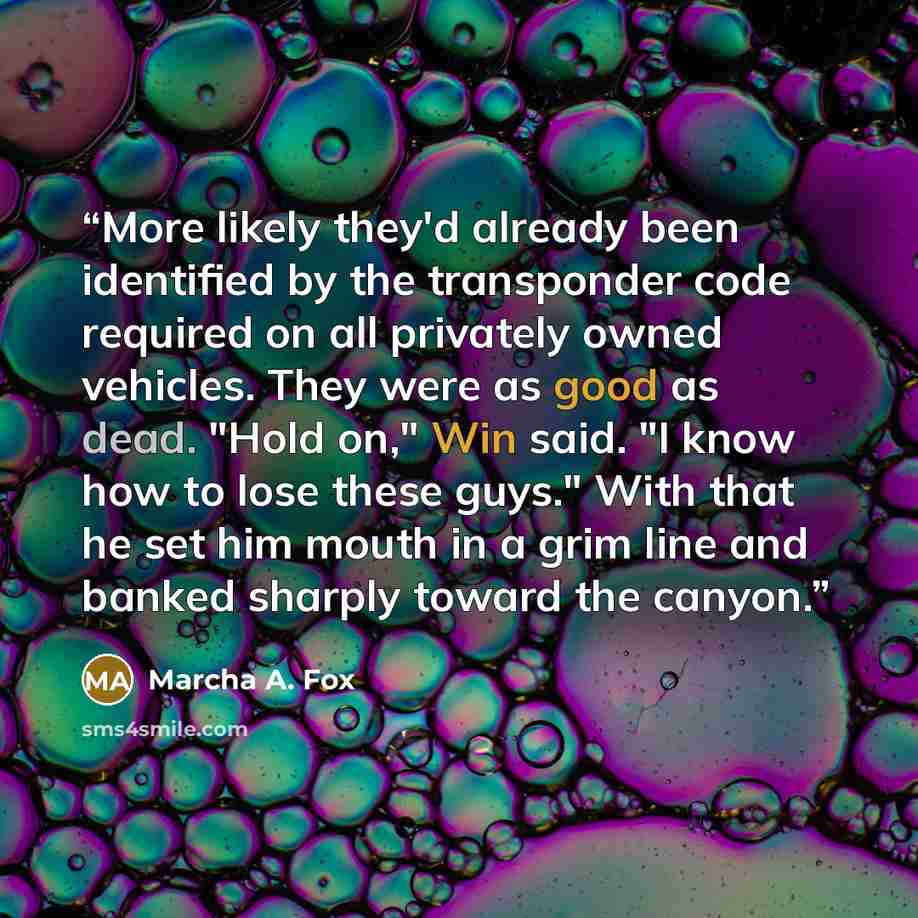 “More likely they'd already been identified by the transponder code required on all privately owned vehicles. They were as good as dead. "Hold on," Win said. "I know how to lose these guys." With that he set him mouth in a grim line and banked sharply toward the canyon.” quote by Marcha A. Fox