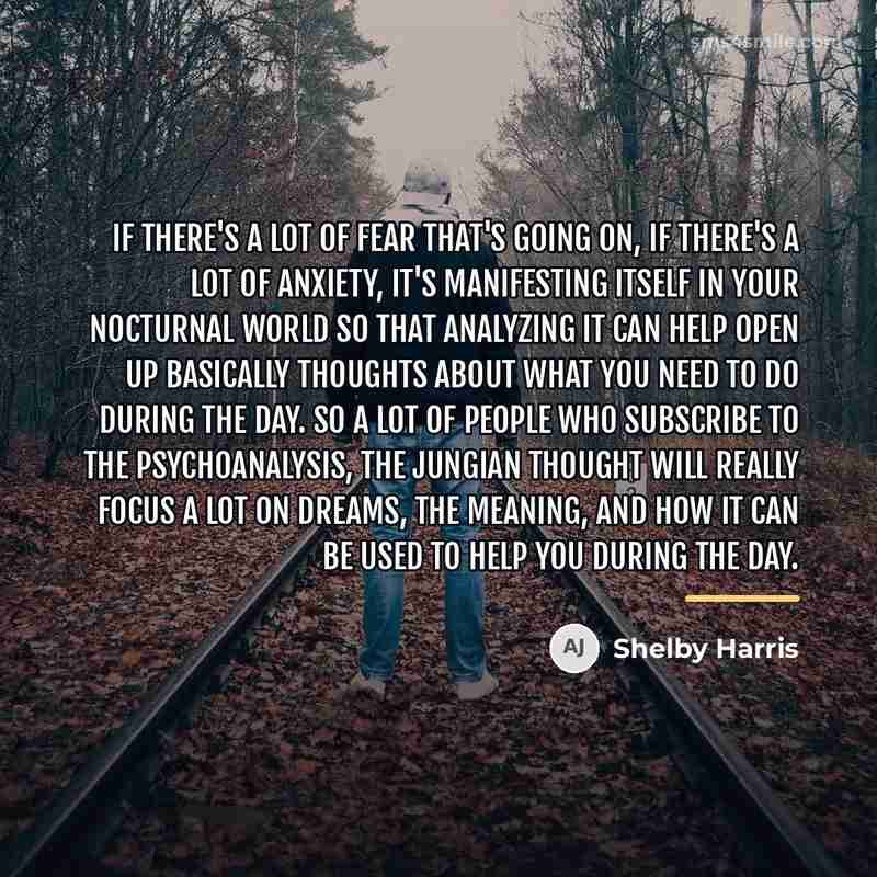 “If there's a lot of fear that's going on, if…” quote by Shelby Harris