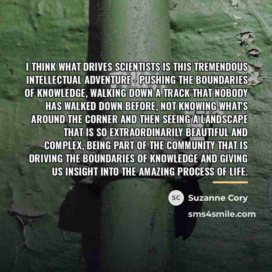 “I think what drives scientists is this tremendous intellectual adventure…” quote by Suzanne Cory