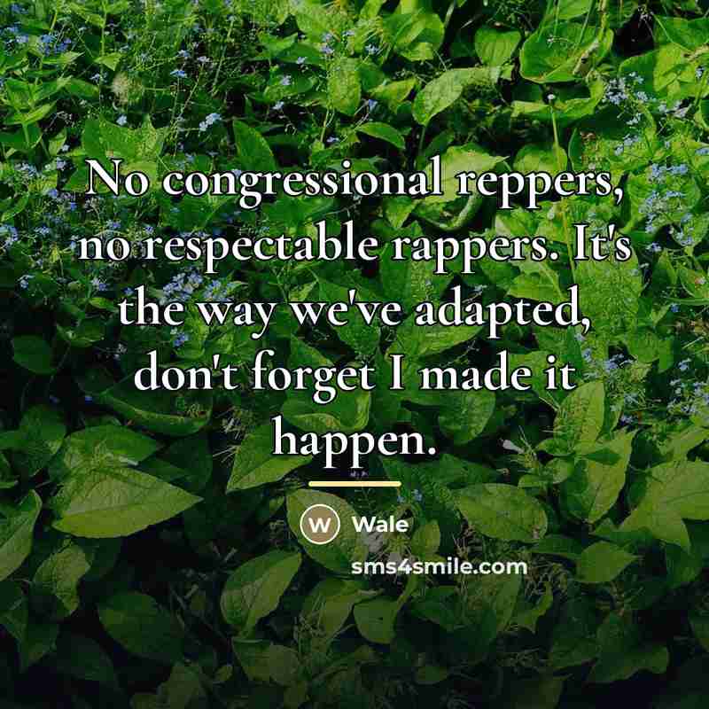 “No congressional reppers, no respectable rappers. It's the way we've…” quote by Wale