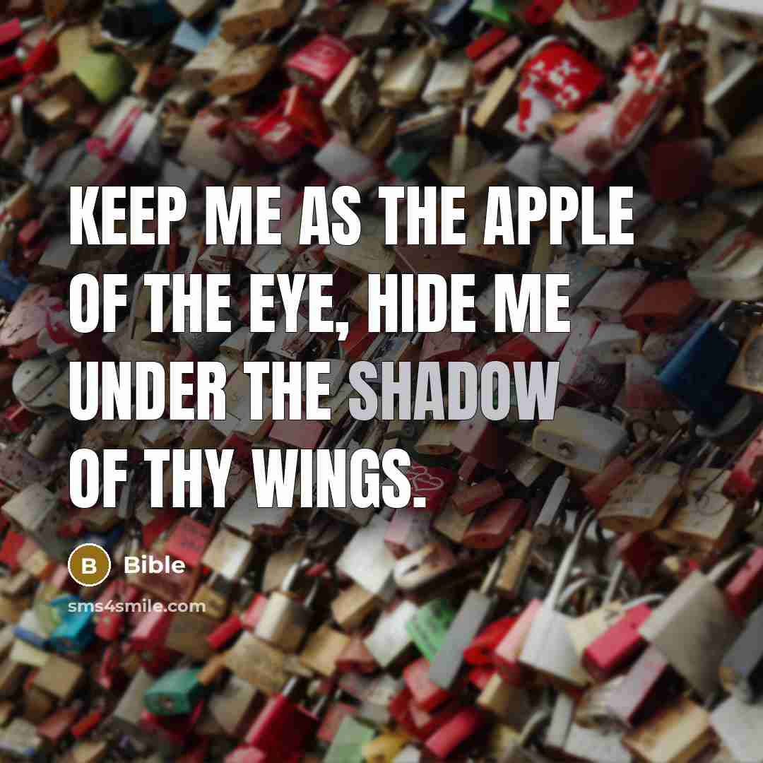 “Keep me as the apple of the eye, hide me…” quote by Bible