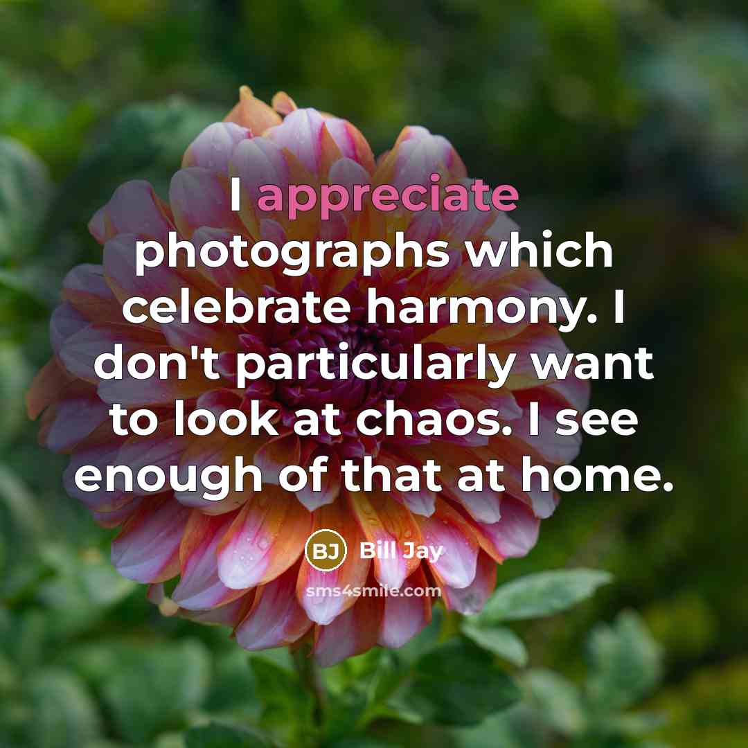 “I appreciate photographs which celebrate harmony. I don't particularly want…” quote by Bill Jay