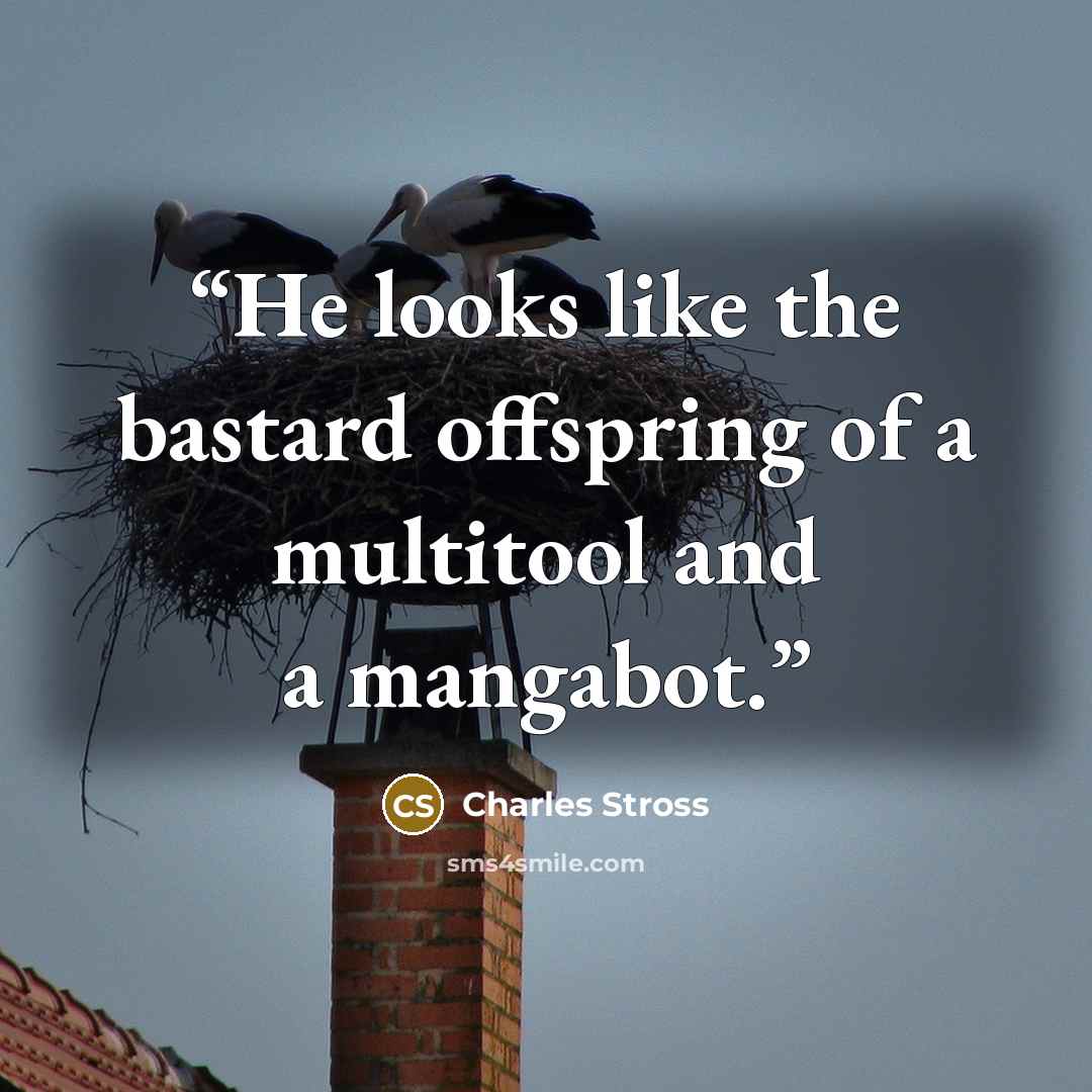 “He looks like the bastard offspring of a multitool and a mangabot.” quote by Charles Stross