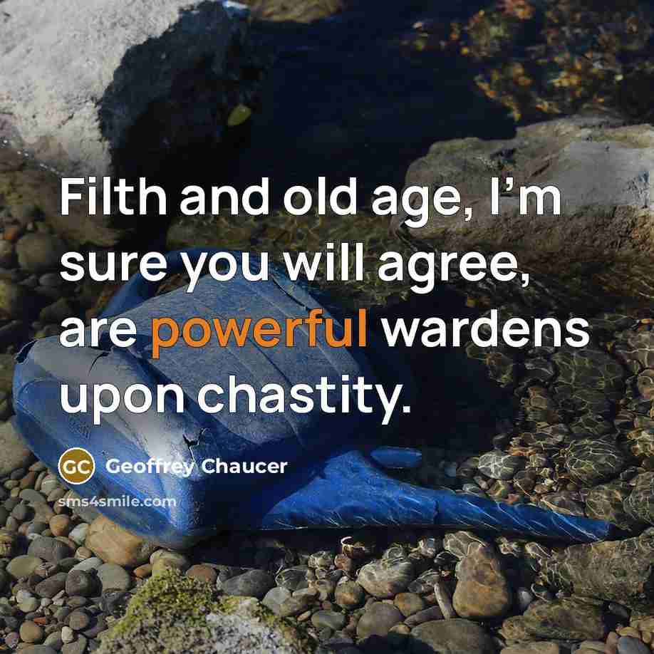 “Filth and old age, I'm sure you will agree, are…” quote by Geoffrey Chaucer