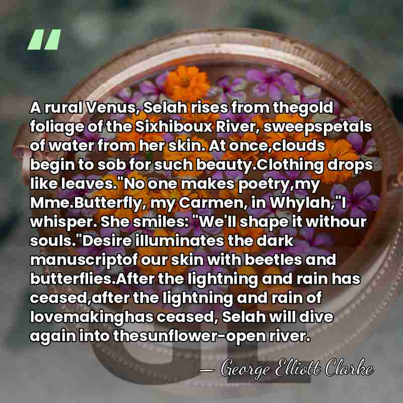 A rural Venus, Selah rises from thegold foliage of the Sixhiboux River,&hellip; - George Elliott Clarke