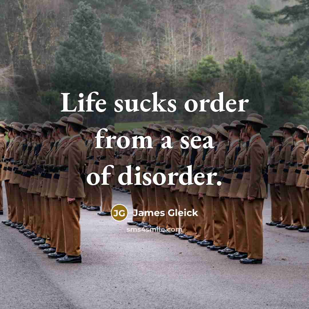 “Life sucks order from a sea of disorder.…” quote by James Gleick