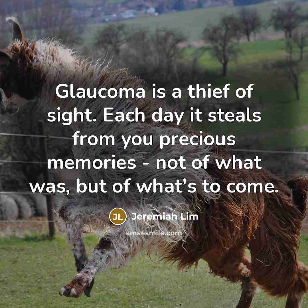 “Glaucoma is a thief of sight. Each day it steals from you precious memories - not of what was, but of what's to come.” quote by Jeremiah Lim