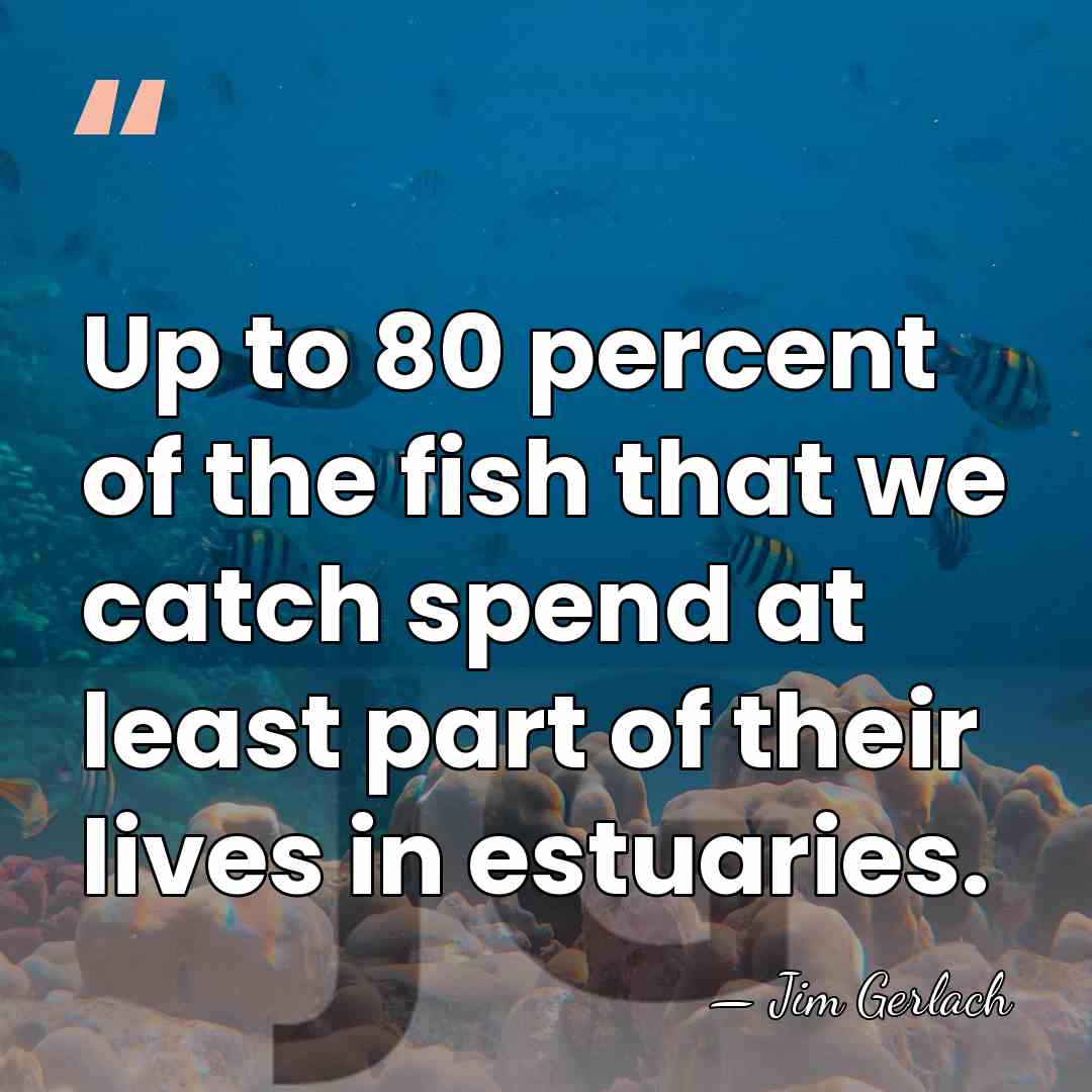 Up to 80 percent of the fish that we catch spend at&hellip; - Jim Gerlach