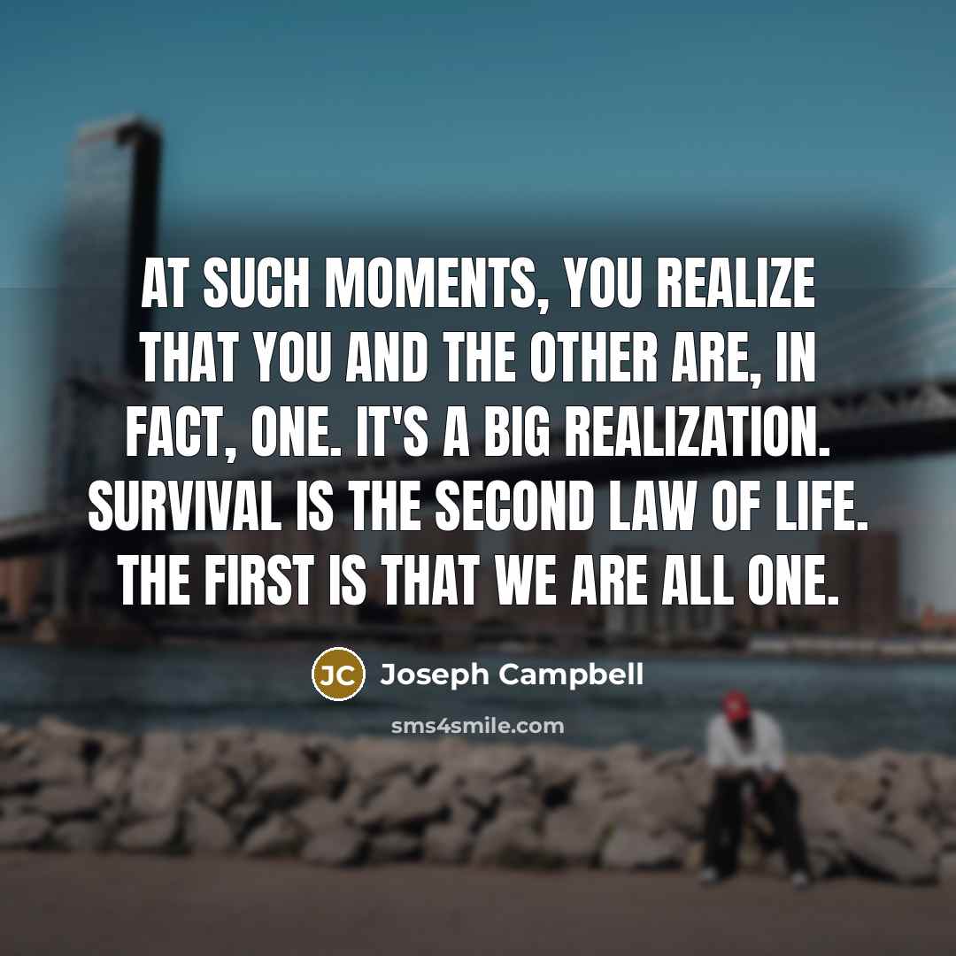 “At such moments, you realize that you and the other…” quote by Joseph Campbell