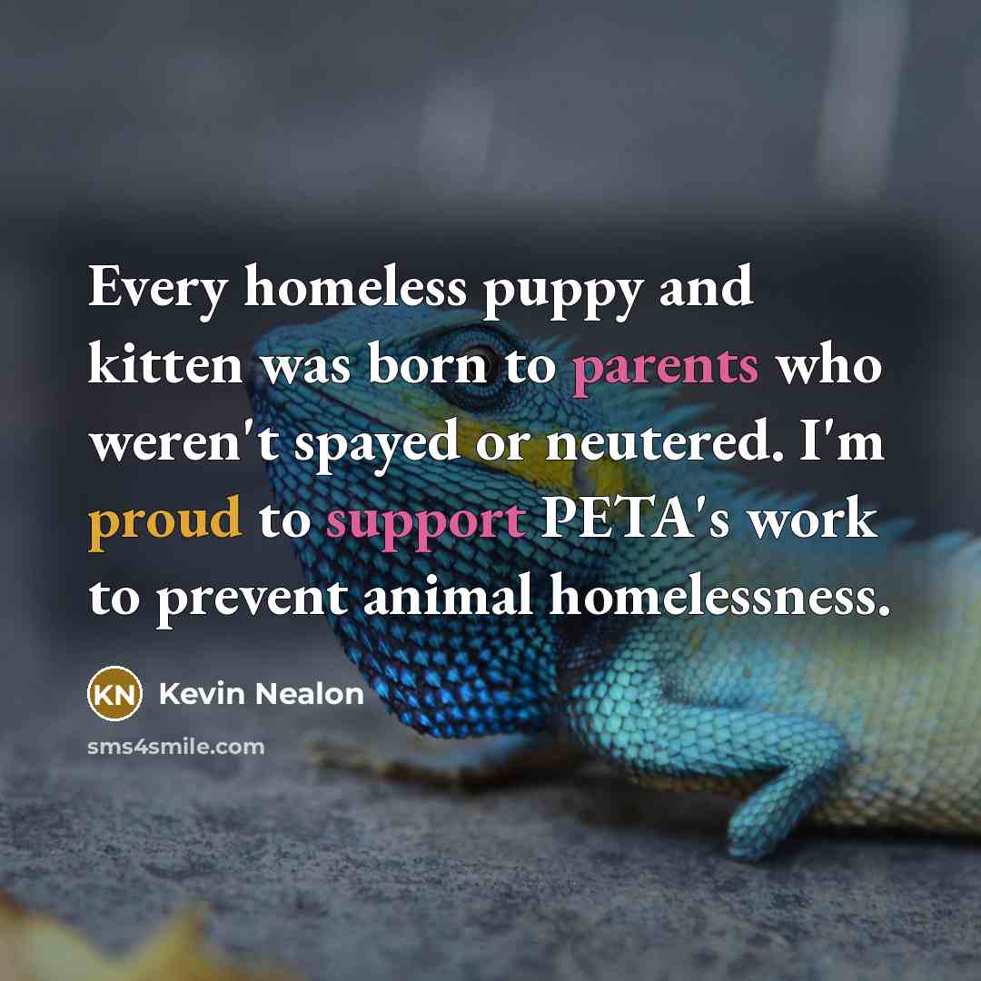 “Every homeless puppy and kitten was born to parents who…” quote by Kevin Nealon