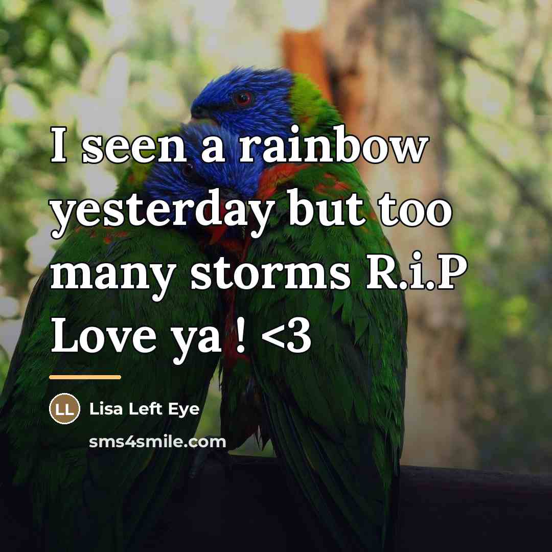“I seen a rainbow yesterday but too many storms R.i.P…” quote by Lisa Left Eye