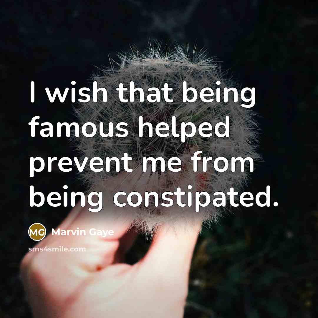 “I wish that being famous helped prevent me from being constipated.” quote by Marvin Gaye