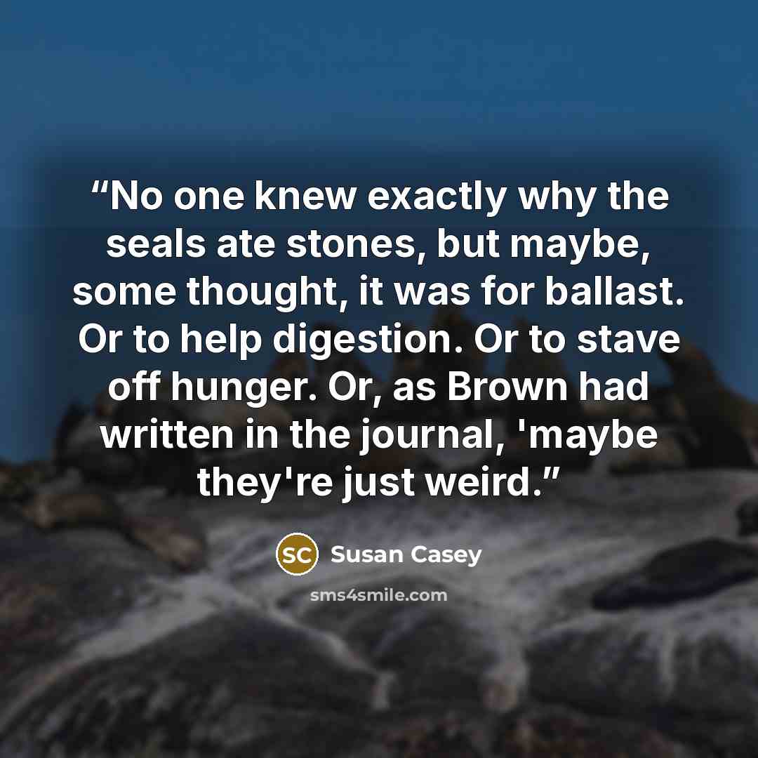 “No one knew exactly why the seals ate stones, but maybe, some thought, it was for ballast. Or to help digestion. Or to stave off hunger. Or, as Brown had written in the journal, 'maybe they're just weird.” quote by Susan Casey