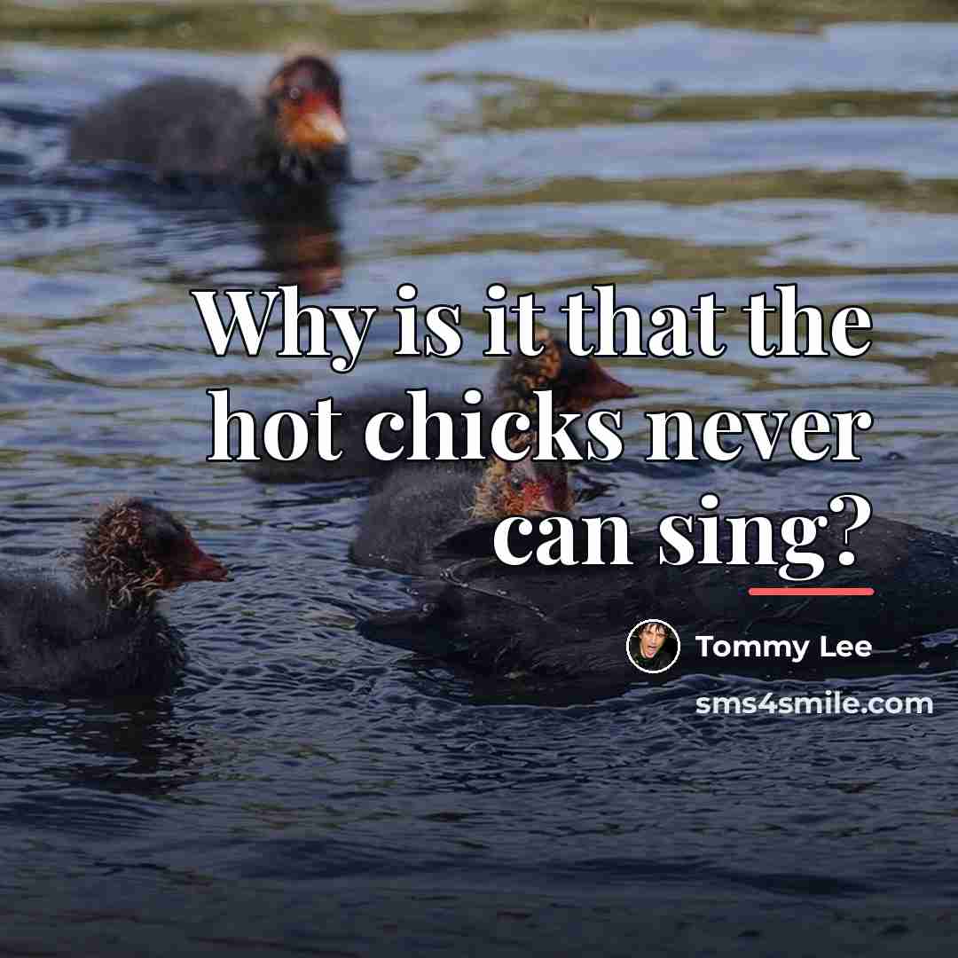 “Why is it that the hot chicks never can sing?…” quote by Tommy Lee