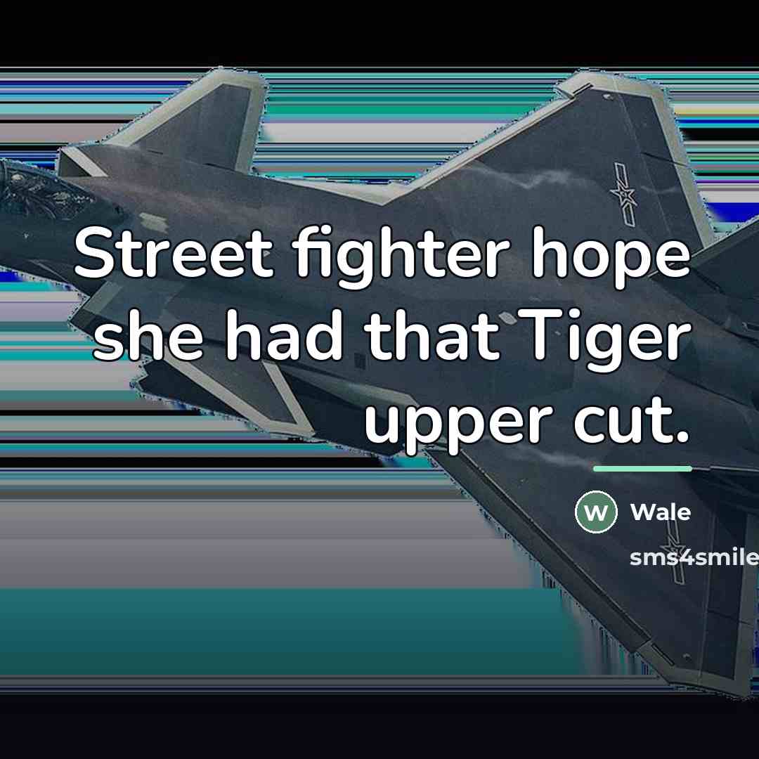 “Street fighter hope she had that Tiger upper cut.…” quote by Wale